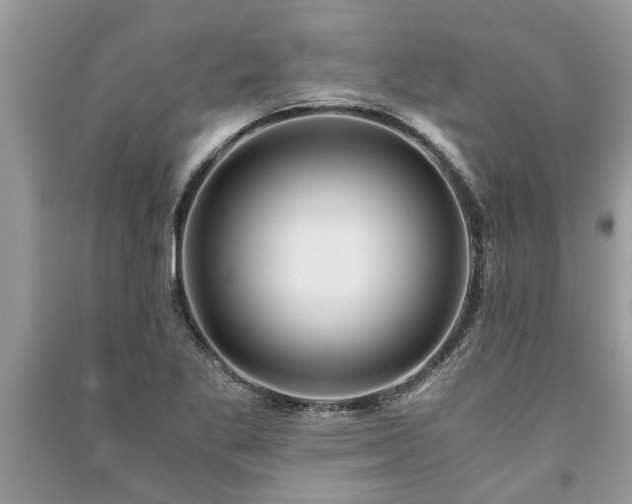 X0000091061269200708131122