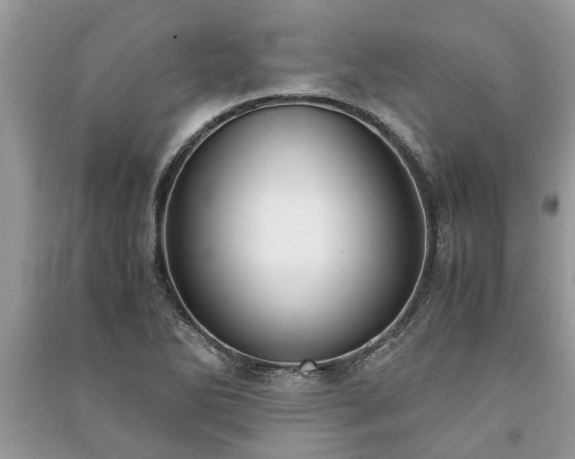 X0000091061270200708131122