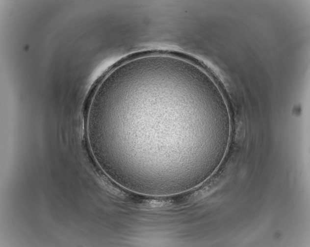 X0000091061271200708131122