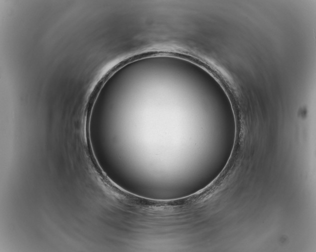 X0000091061272200708131122