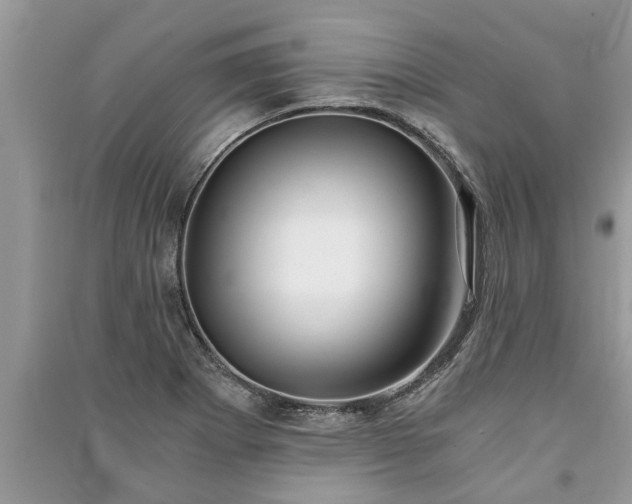 X0000091061273200708131122
