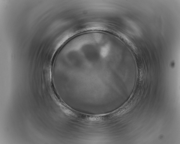 X0000091061274200708131122