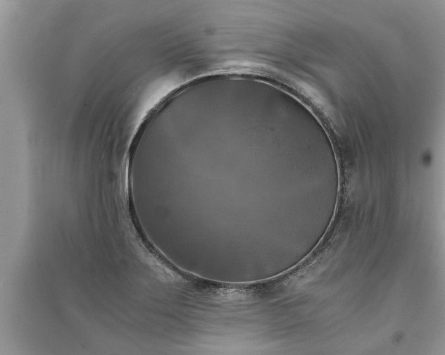 X0000091061275200708131122