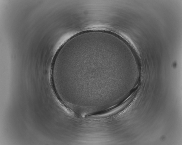 X0000091061277200708131122