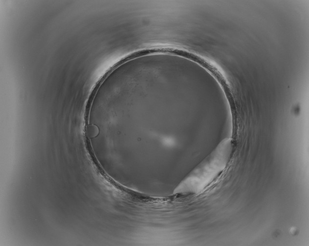 X0000091061279200708131122