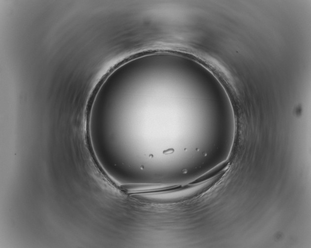 X0000091061280200708131122