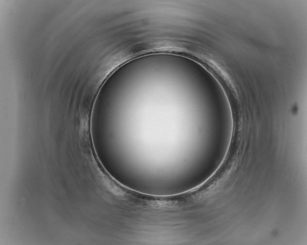 X0000091061281200708131122
