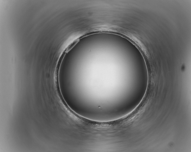 X0000091061285200708131121