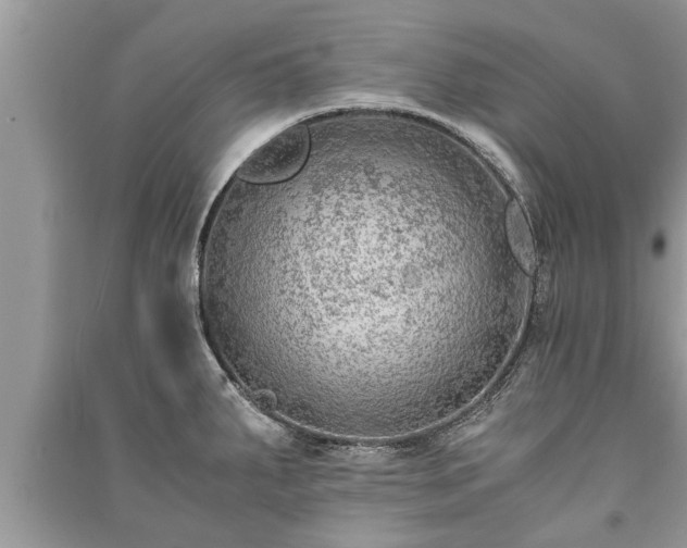 X0000091061287200708131121