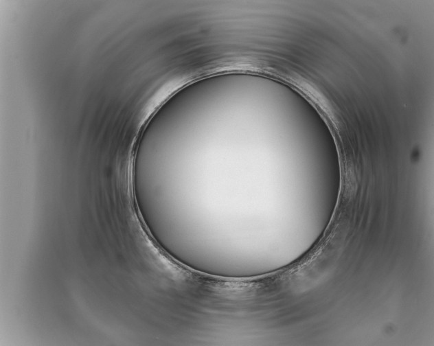 X0000091061290200708131121