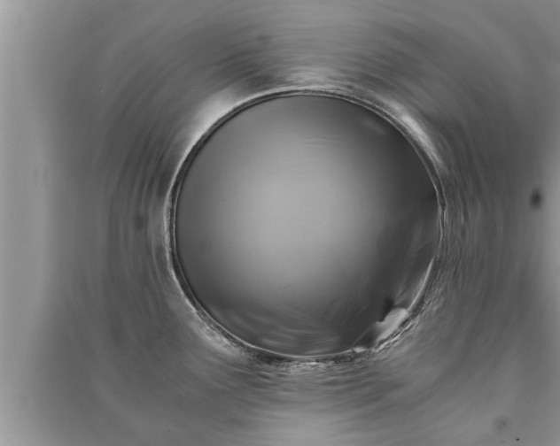 X0000091061291200708131121
