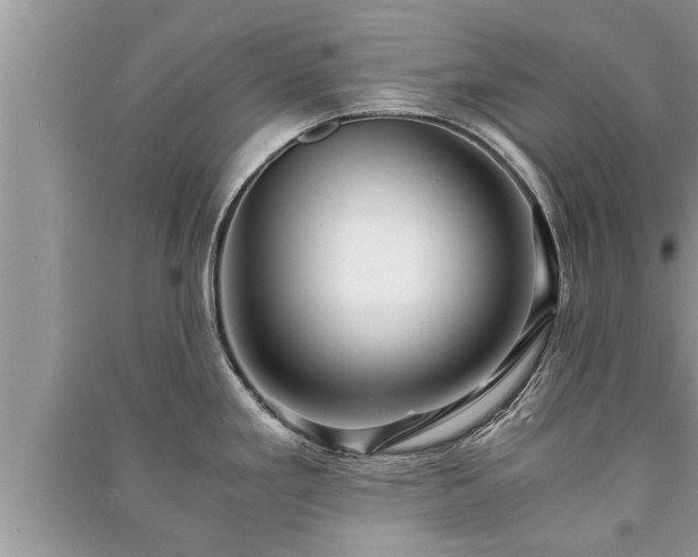 X0000091061293200708131121
