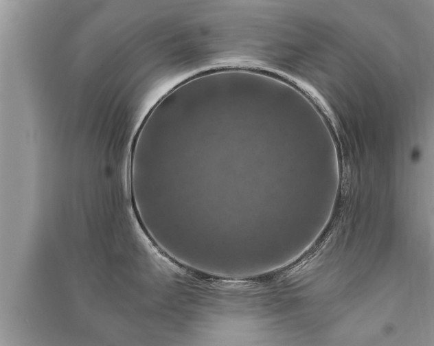 X0000091061295200708131121