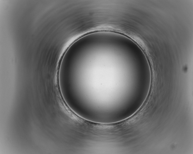 X0000091061296200708131121