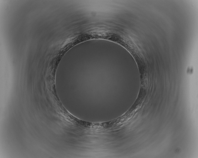 X0000091061297200708131121