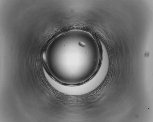 X0000091061298200708131121