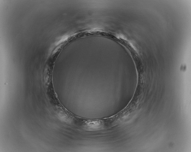 X0000091061303200708131121