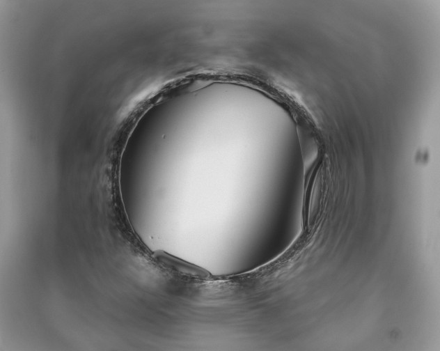 X0000091061304200708131121
