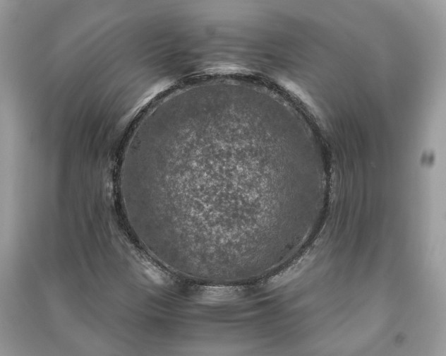 X0000091061305200708131121