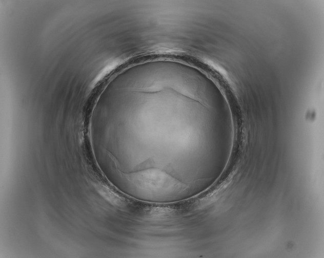 X0000091061306200708131121