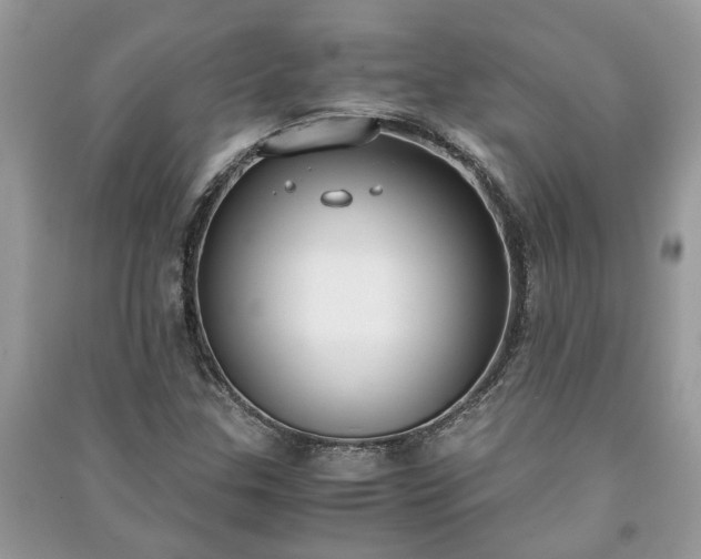 X0000091061307200708131121