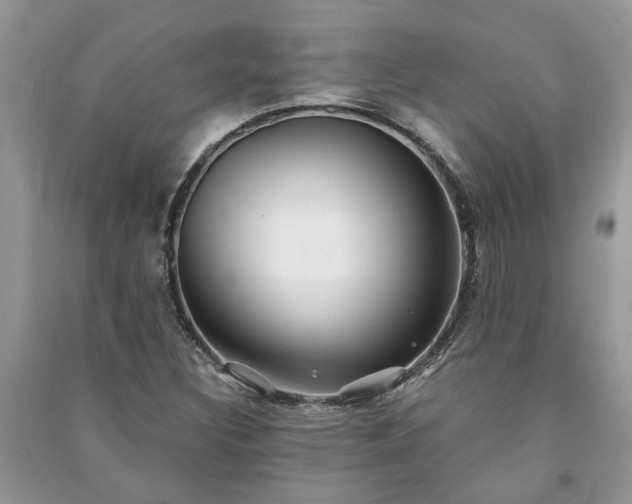 X0000091061308200708131121
