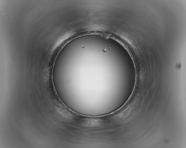 X0000091061309200708131121