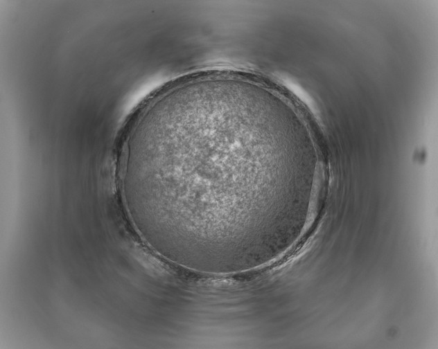 X0000091061310200708131121