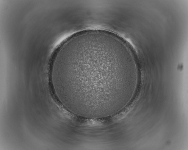 X0000091061311200708131121