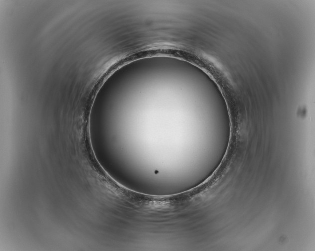 X0000091061313200708131121