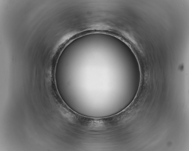 X0000091061315200708131121