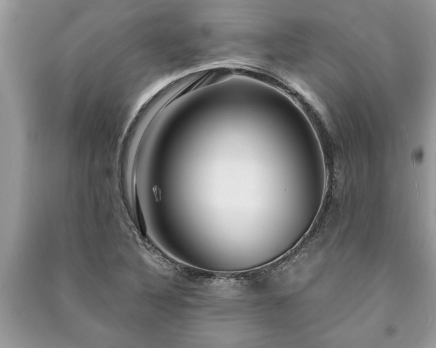 X0000091061316200708131121