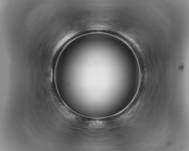 X0000091061317200708131121