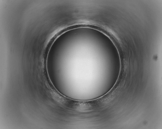 X0000091061318200708131121