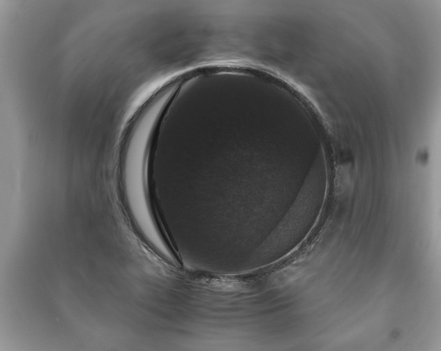 X0000091061319200708131121