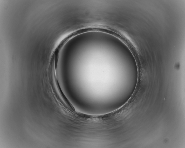 X0000091061320200708131121