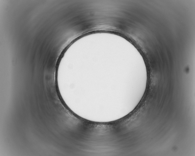 X0000091061322200708131121