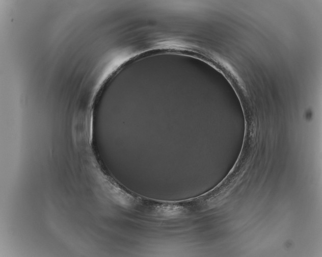 X0000091061323200708131121