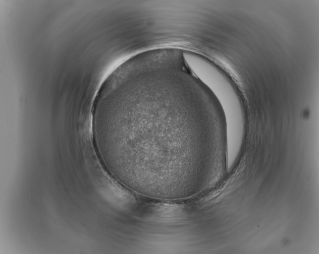 X0000091061324200708131121
