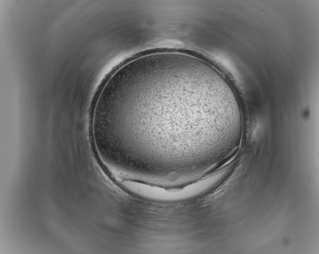 X0000091061326200708131121