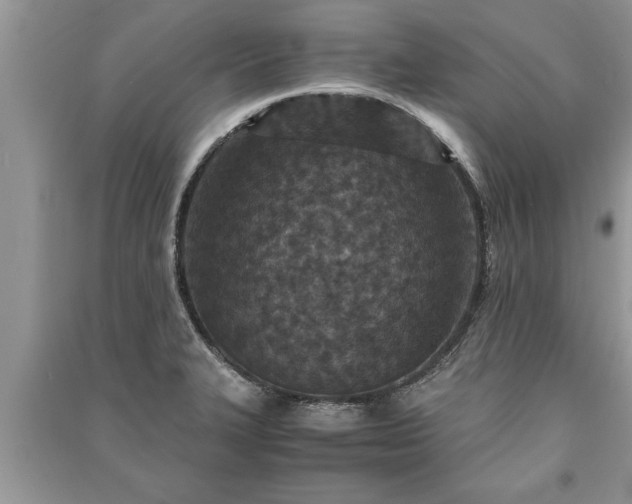 X0000091061327200708131121