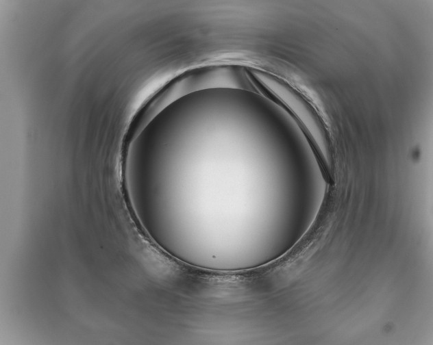 X0000091061328200708131121
