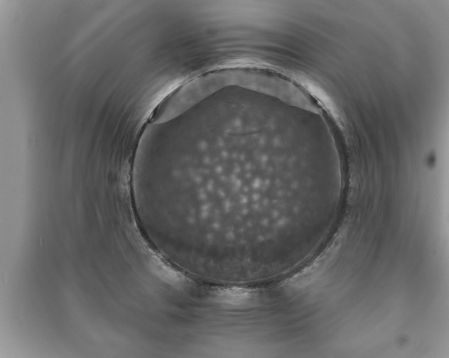 X0000091061329200708131121