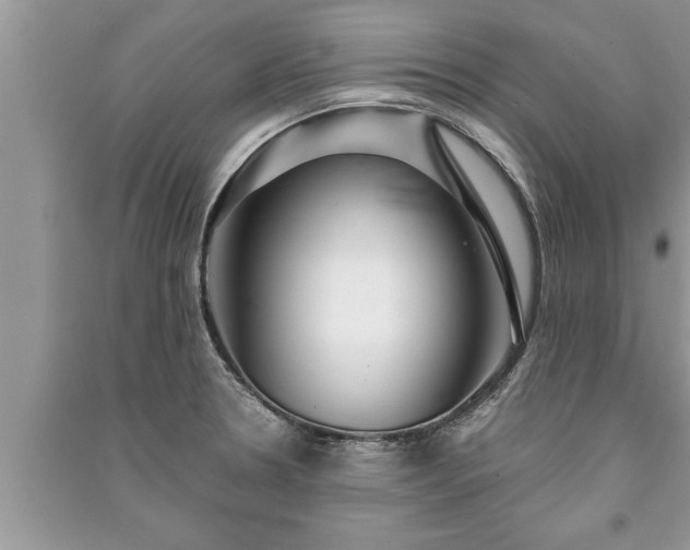 X0000091061330200708131121