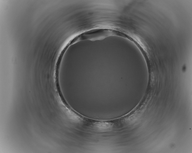 X0000091061331200708131121