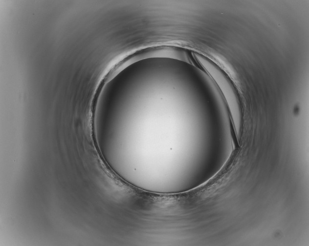 X0000091061332200708131121