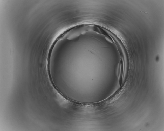 X0000091061334200708131121