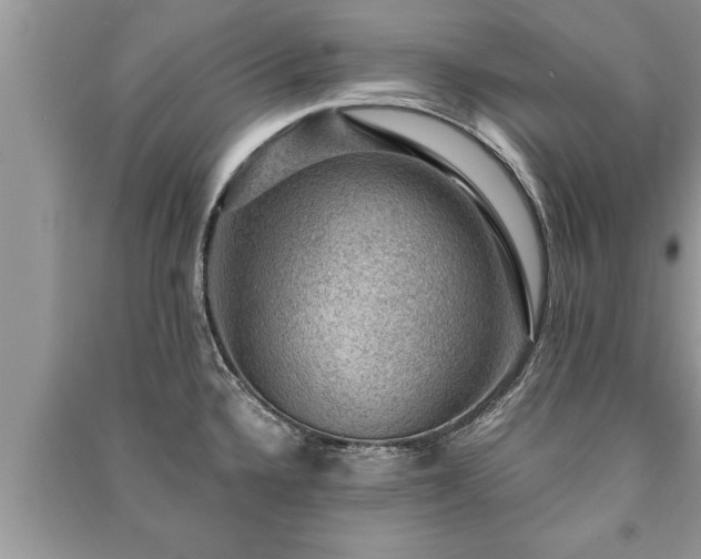 X0000091061336200708131121