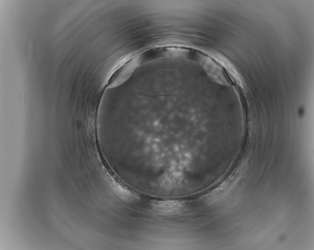 X0000091061337200708131121