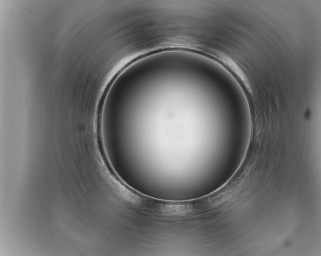 X0000091061339200708131121